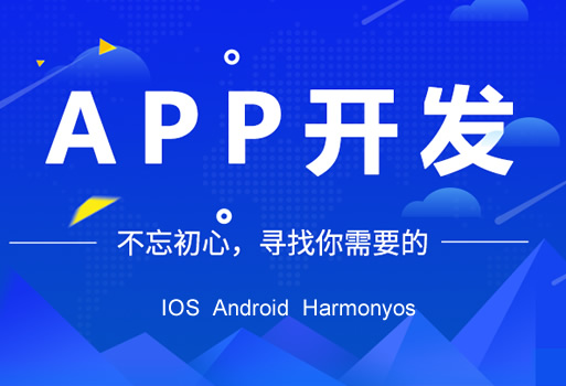 APP定制開發(fā)